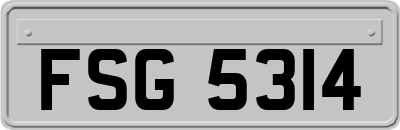 FSG5314