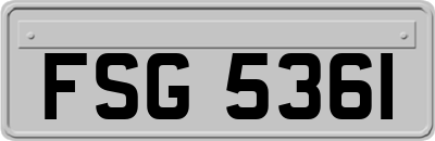 FSG5361