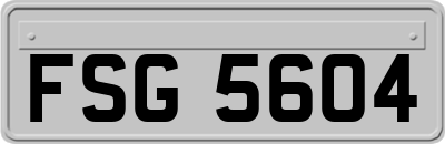 FSG5604
