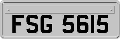 FSG5615