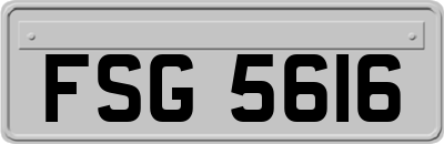 FSG5616