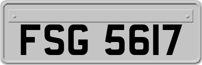 FSG5617