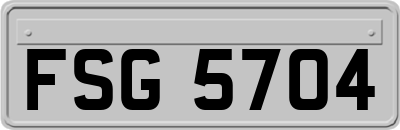 FSG5704
