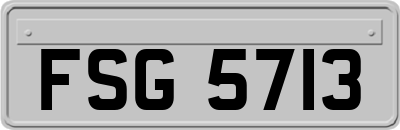 FSG5713