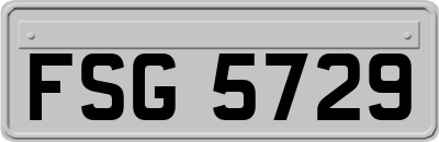FSG5729
