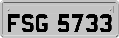FSG5733