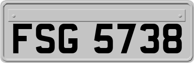 FSG5738