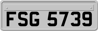 FSG5739