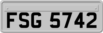 FSG5742