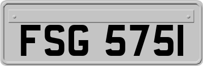 FSG5751