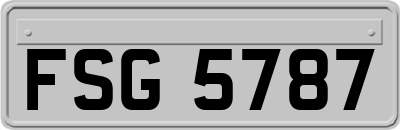 FSG5787