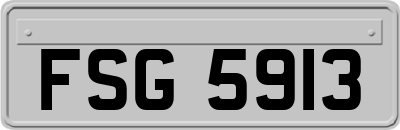 FSG5913