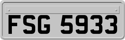 FSG5933