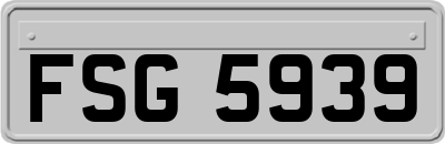 FSG5939