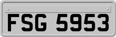 FSG5953