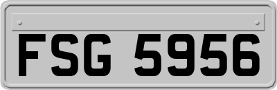 FSG5956