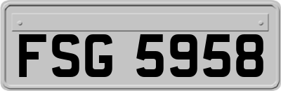 FSG5958