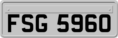 FSG5960