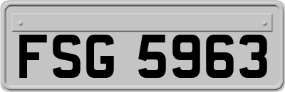 FSG5963
