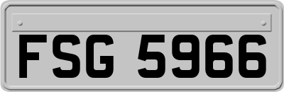 FSG5966