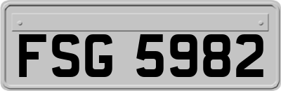 FSG5982