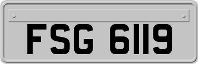 FSG6119