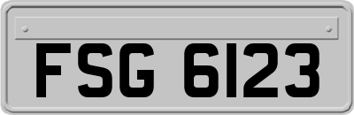 FSG6123