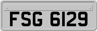 FSG6129