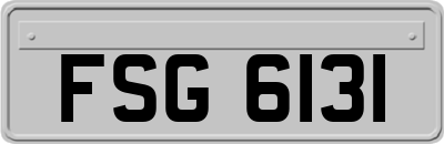 FSG6131
