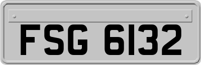 FSG6132