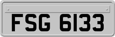 FSG6133
