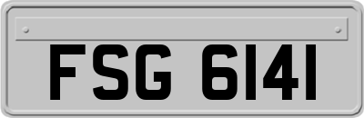 FSG6141