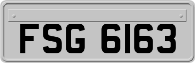 FSG6163