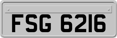 FSG6216
