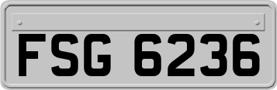 FSG6236