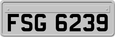 FSG6239