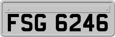 FSG6246