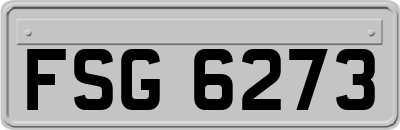 FSG6273