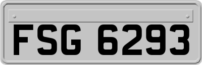 FSG6293