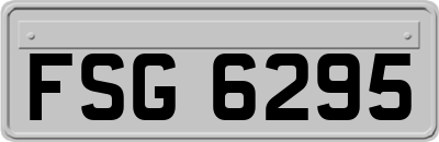FSG6295