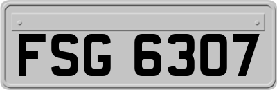 FSG6307