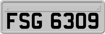 FSG6309
