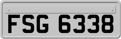 FSG6338