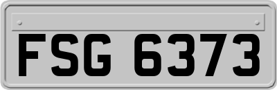 FSG6373