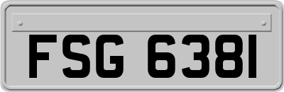 FSG6381