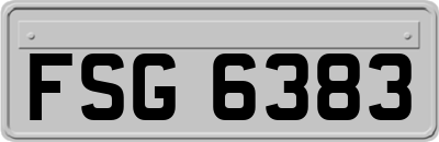 FSG6383