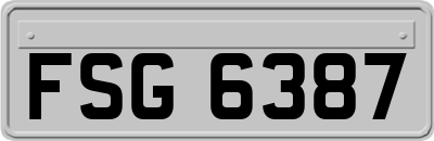 FSG6387