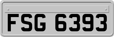 FSG6393