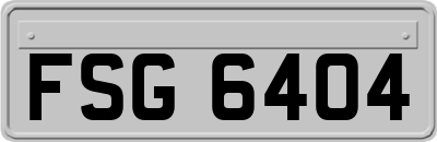 FSG6404