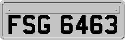 FSG6463